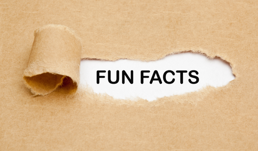 Fun Facts: Everything You Never Needed to Know about Commercial HVAC